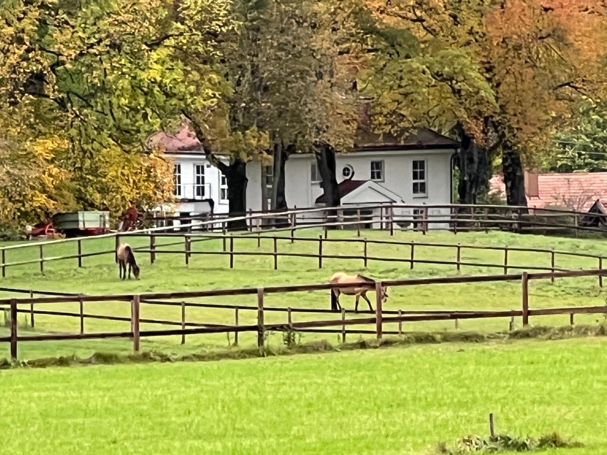 Herrenhaus - Starnberger See - Ammerland Münsing Esterno foto